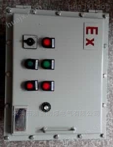 BXK51-S-D4A4G四灯四钮防爆防腐控制箱