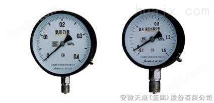 YA-100/150系列氨压力表