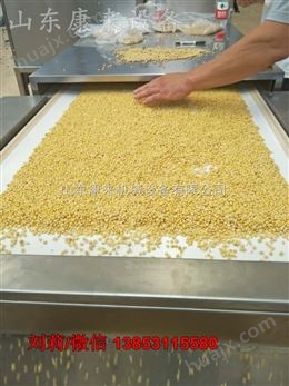 太原五谷杂粮烘焙熟化设备