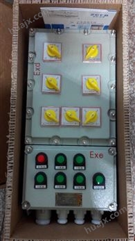 BXS-2/16A防爆动力检修电源插座箱