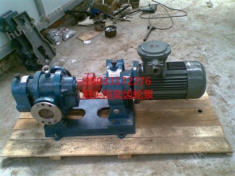 高粘度保温罗茨泵 机械增压泵 原油输送泵