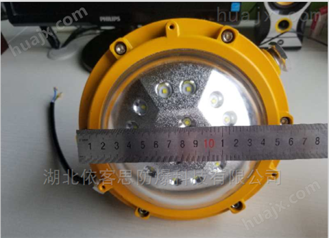 SW7150-50W防爆LED节能泛光灯