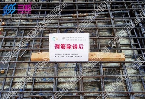 珠海环保钢筋除锈剂CX-04