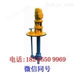 50FY-25A耐腐蚀液下泵|不锈钢立式泵