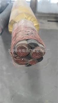 ZR-BPVVP阻燃变频电力电缆-天津产
