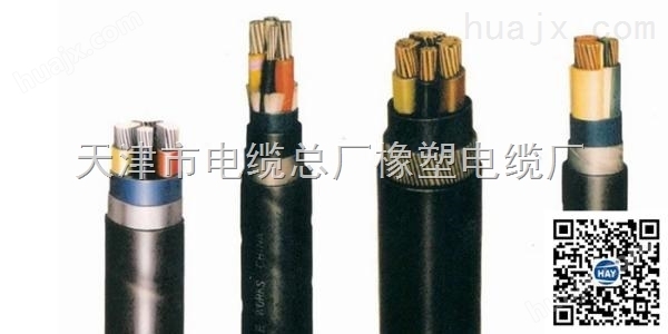 天津产：MVV22矿用铠装电力电缆，*
