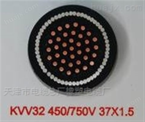 ASTP-120Ω铠装双绞屏蔽电缆 PVC外护套